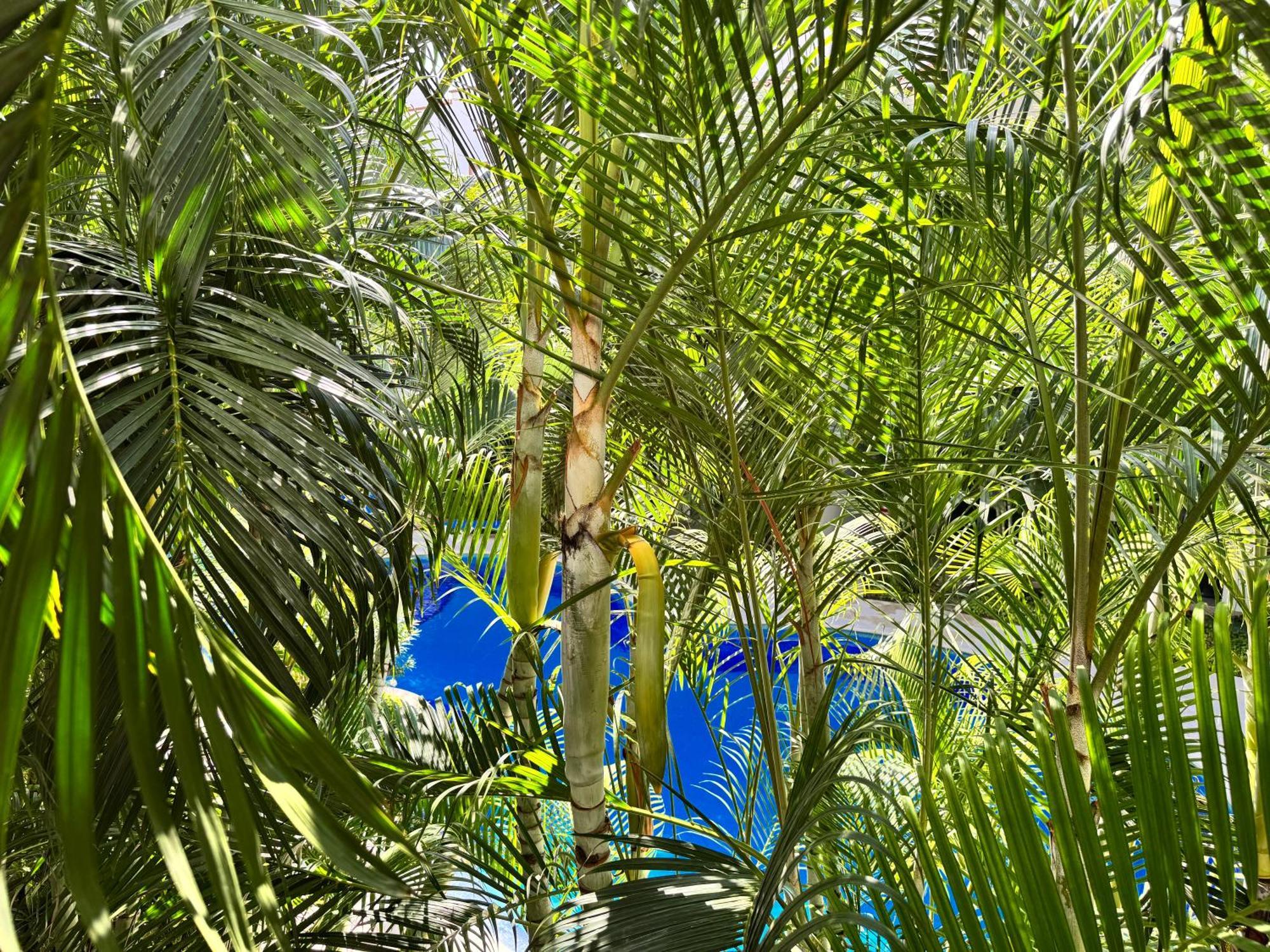 Modern 2br Apt-3 Baths-pool-wi-fi-steps To Appartement *