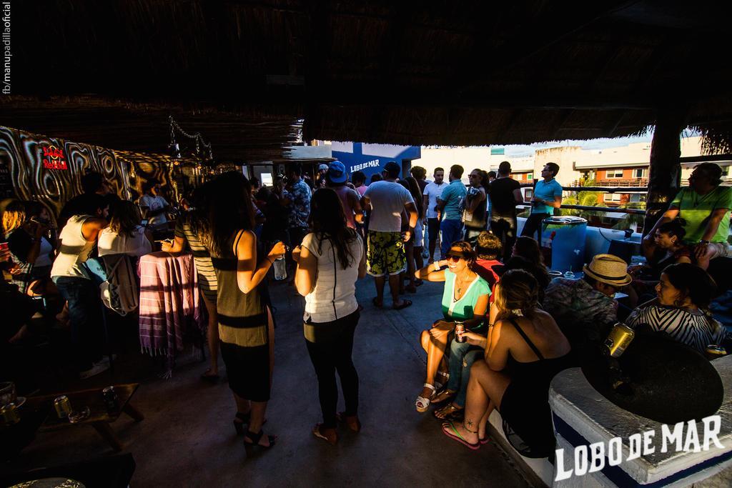 Albergue Lobo De Mar *