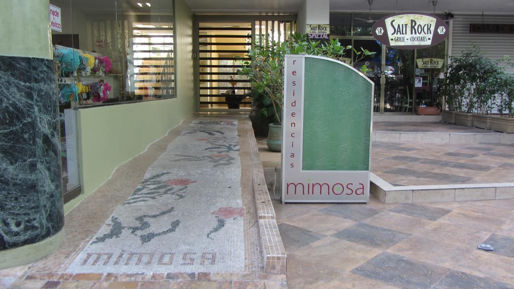Mimosa Tree
