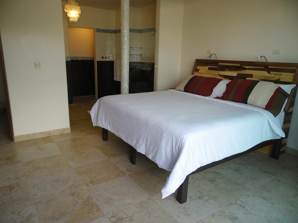 Aparthotel Mimosa Tree