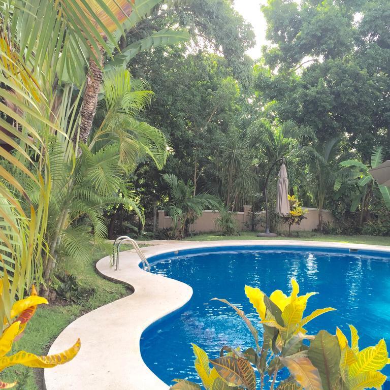 Bed & Breakfast Casa Camelia Playa del Carmen