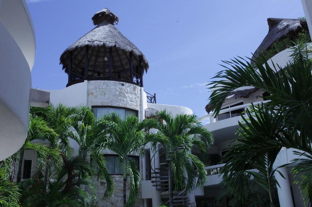 Hotel Blue Parrot On 5th Avenue Playa del Carmen