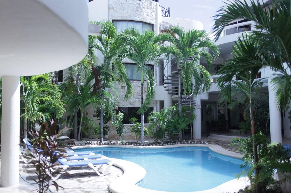 Blue Parrot On 5th Avenue Playa del Carmen