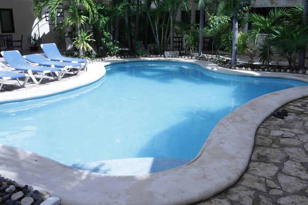 Hotel Blue Parrot On 5th Avenue Playa del Carmen