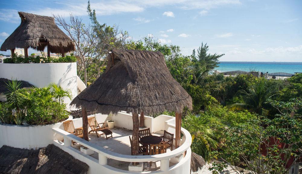 Hotel Blue Parrot On 5th Avenue 3*