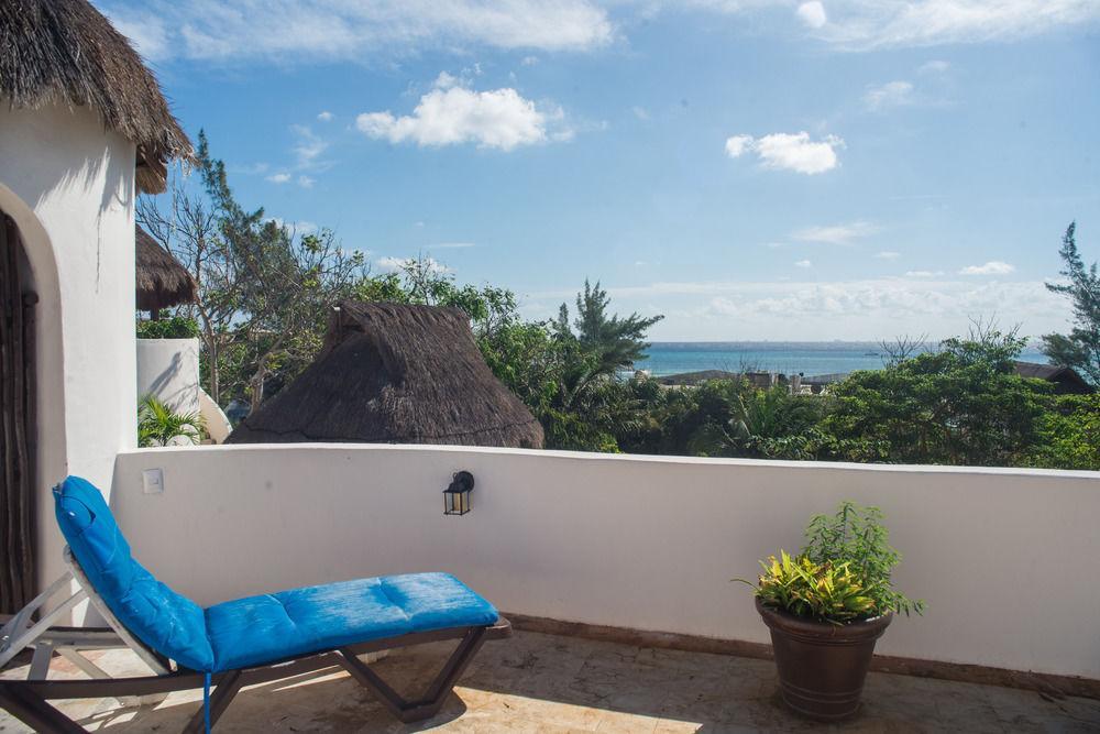 Blue Parrot On 5th Avenue Playa del Carmen