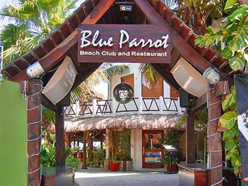 Blue Parrot Hotel