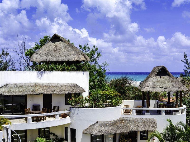 Blue Parrot 4*