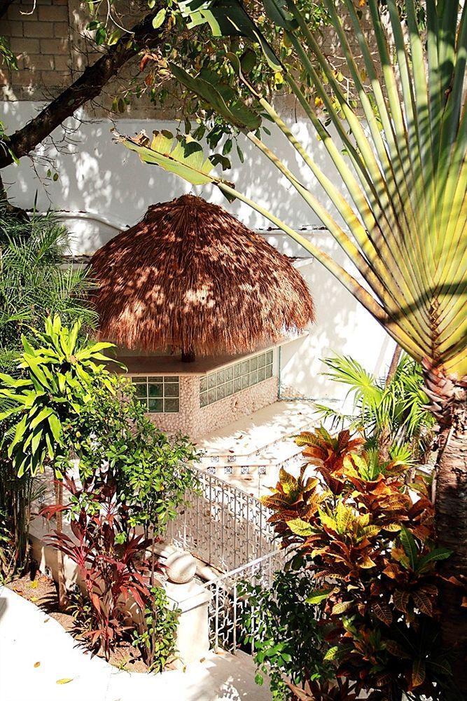 Tropical Casablanca Party Zone 3*