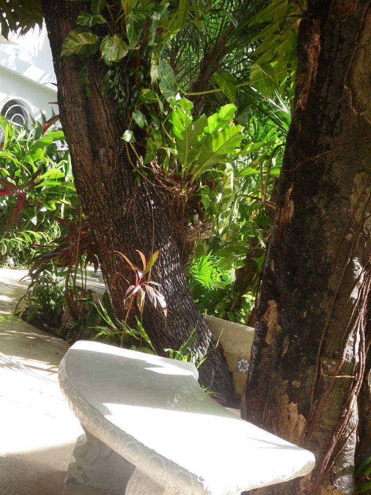 Tropical Casablanca Party Zone 3*