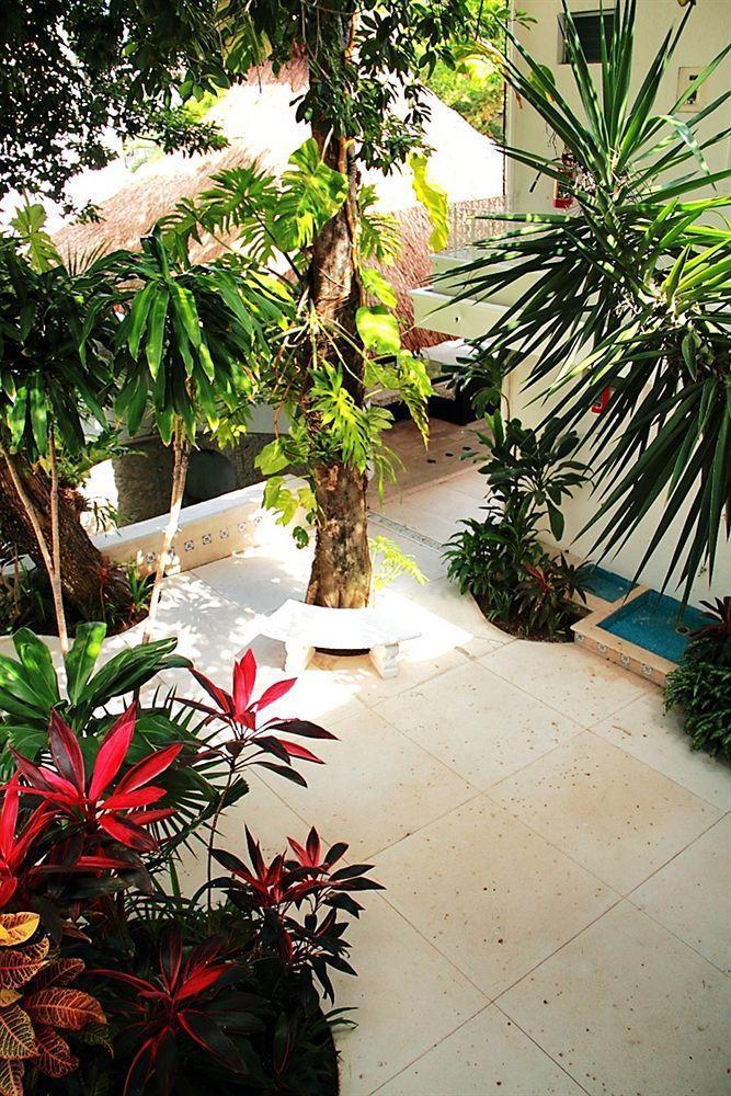 Tropical Casablanca Party Zone 3*