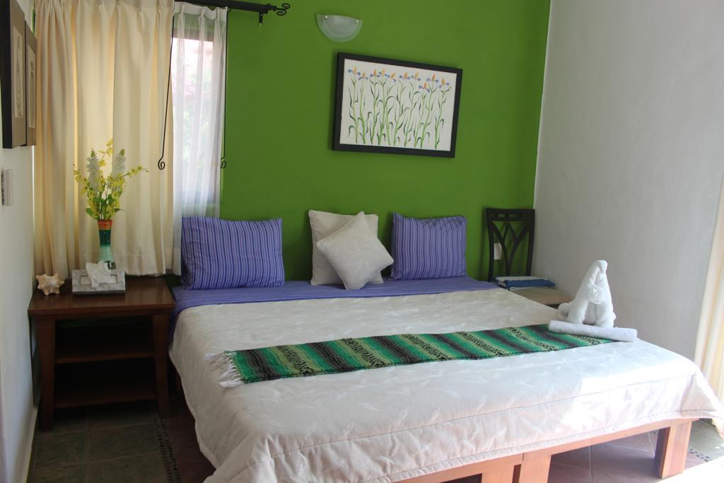 Bed & Breakfast Casa Camelia