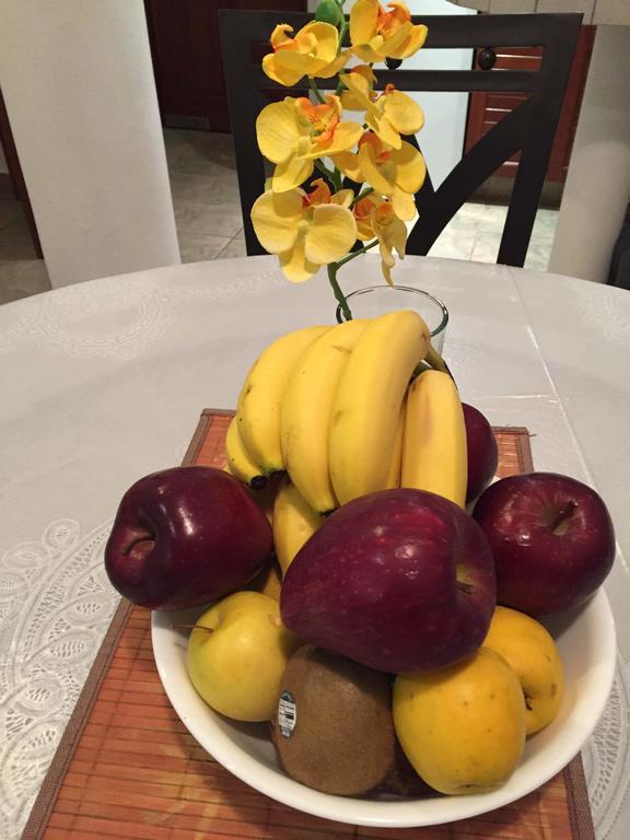 Casa Camelia Bed & Breakfast Playa del Carmen