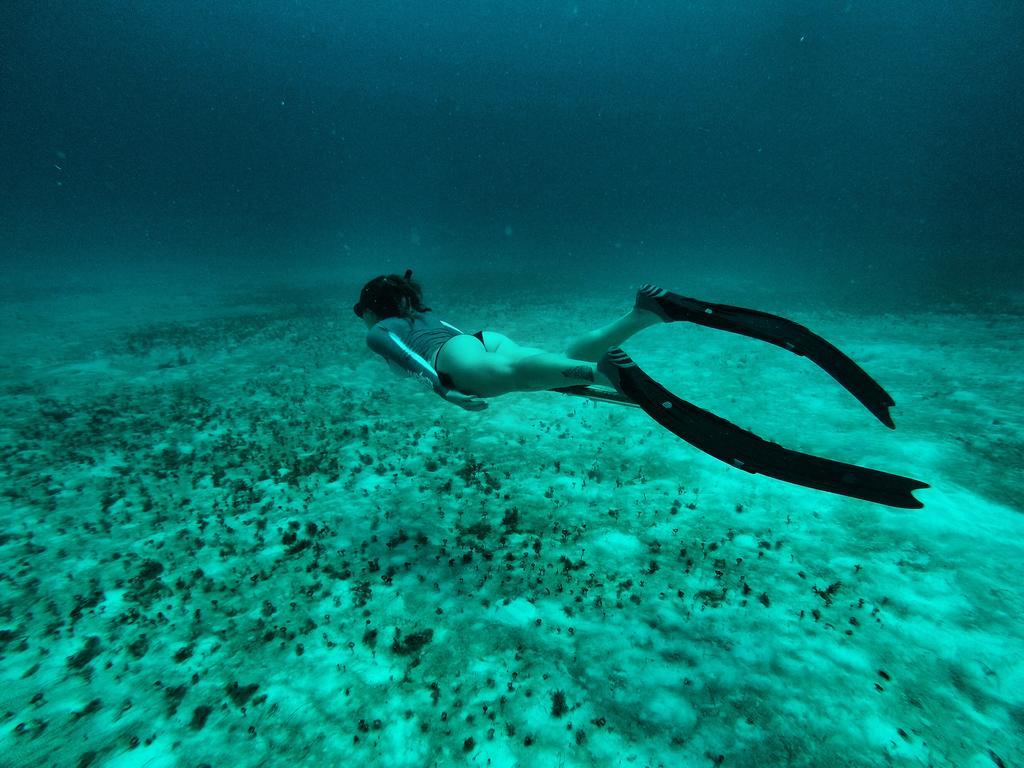 Lobo De Mar Albergue Playa del Carmen