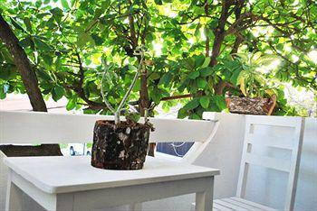 Cocodrilo Hotel 3*
