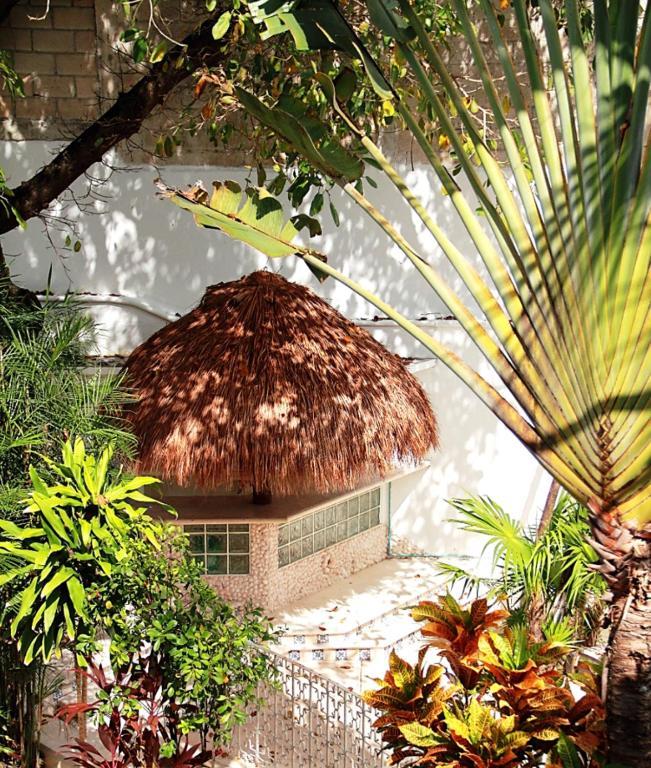 Tropical Casablanca Party Zone 3* Playa del Carmen