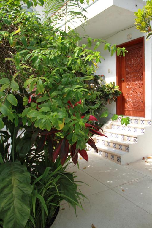 Tropical Casablanca Party Zone 3* Playa del Carmen