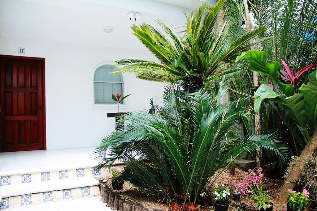 Tropical Casablanca Party Zone 3* Playa del Carmen