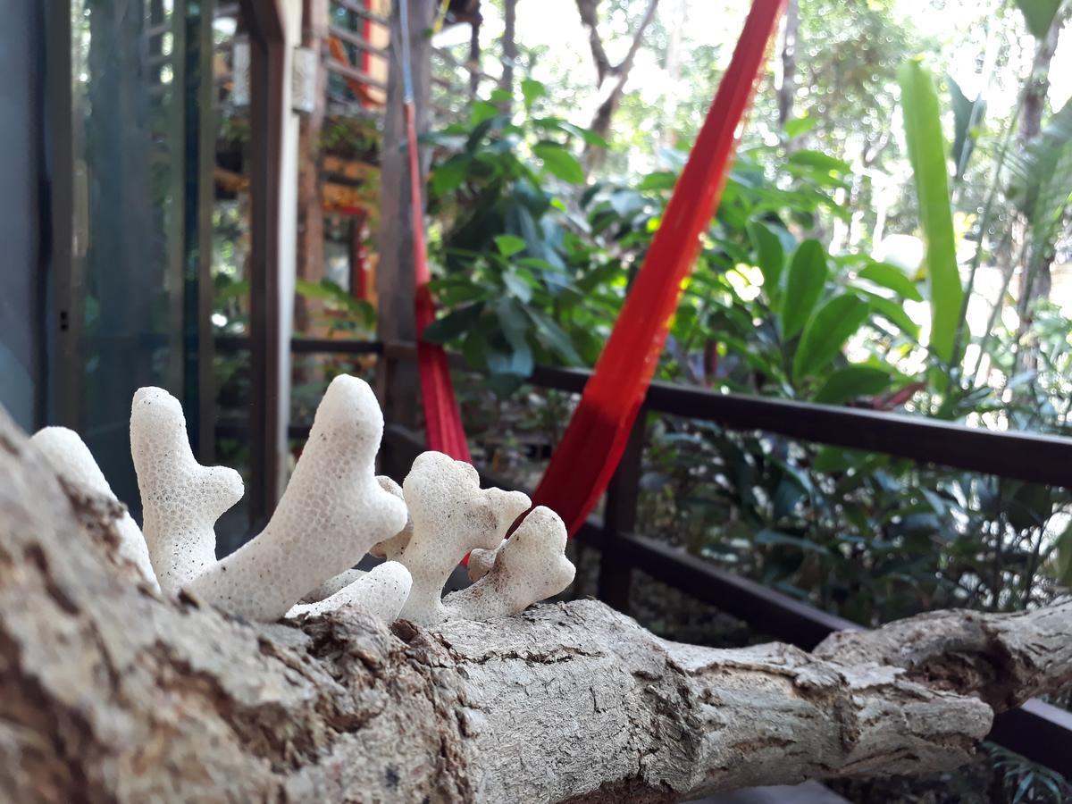 Dolce Caribe Xcaret Acomodação com café da manhã  2*