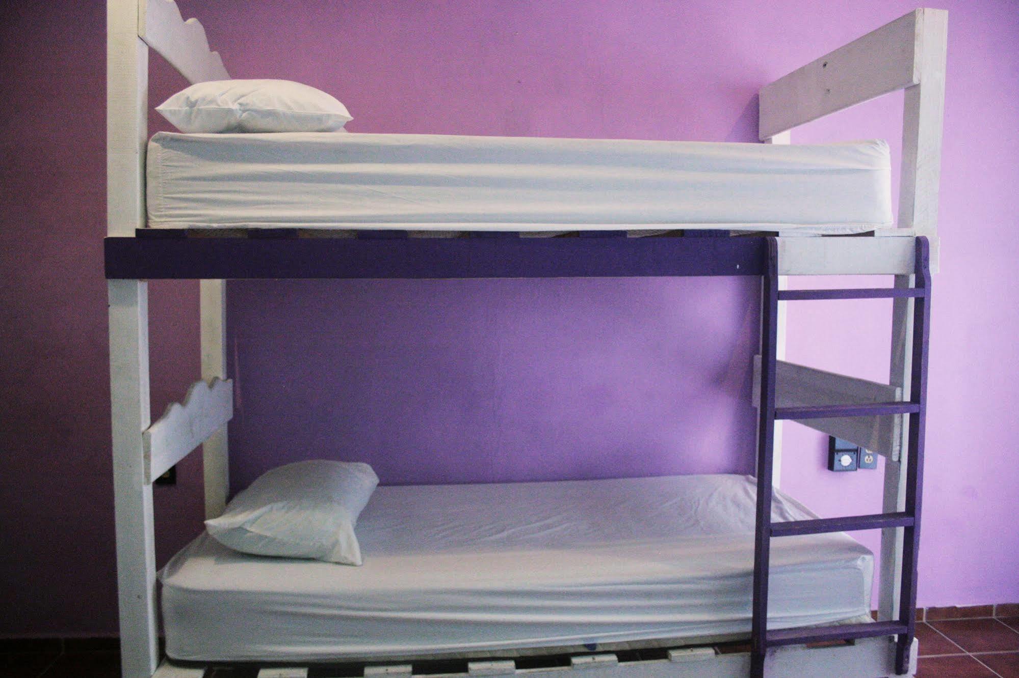 Hostel The Yak *