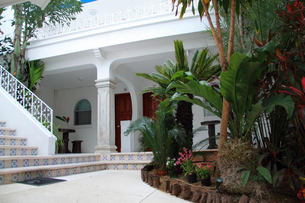 Tropical Casablanca Party Zone