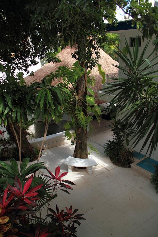 Tropical Casablanca Party Zone 3* Playa del Carmen