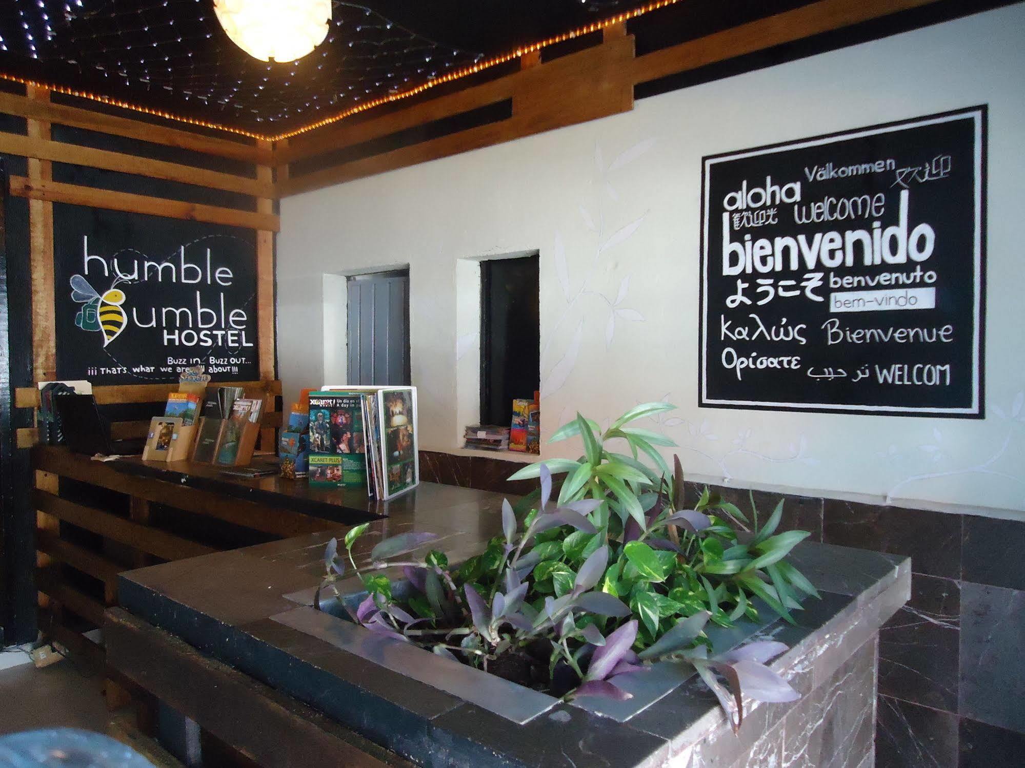 Humble Bumble Hostel Playa del Carmen