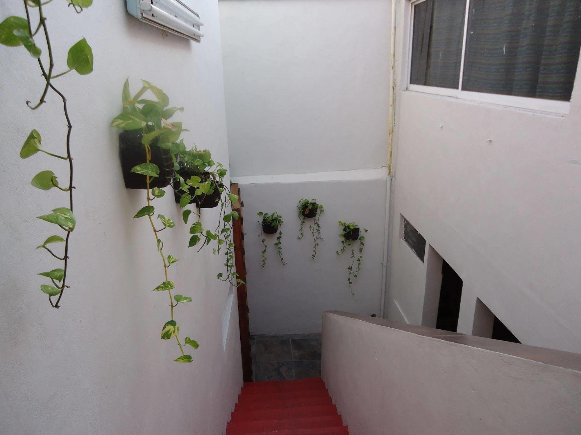 Humble Bumble Hostel Playa del Carmen