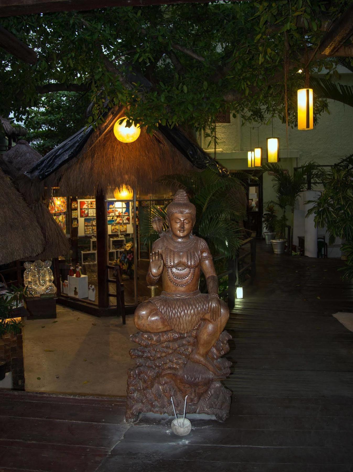 Blue Parrot On 5th Avenue Playa del Carmen