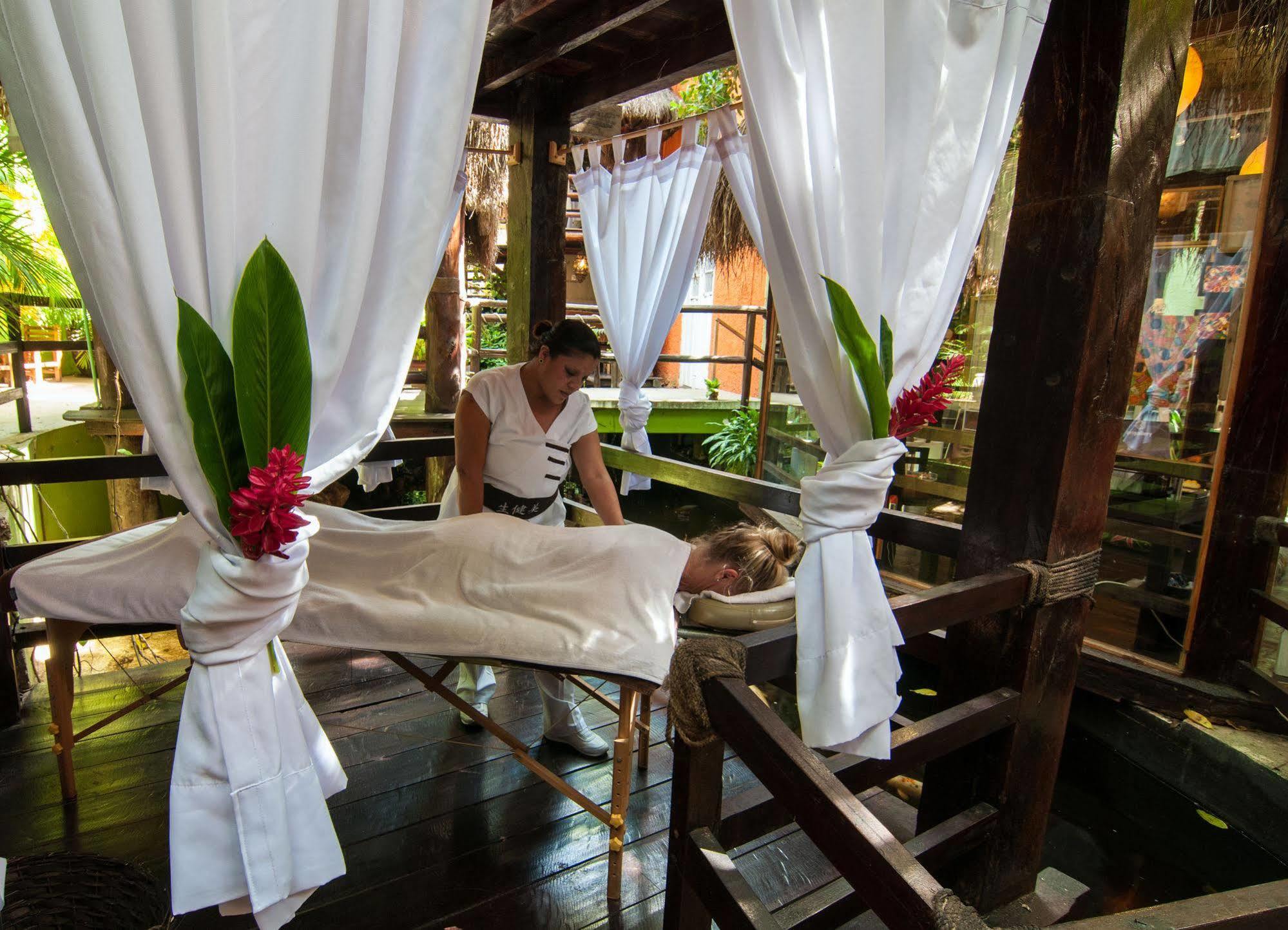 Blue Parrot On 5th Avenue Hotel Playa del Carmen