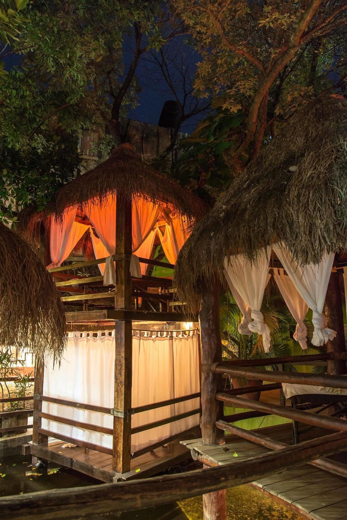 Blue Parrot On 5th Avenue Playa del Carmen