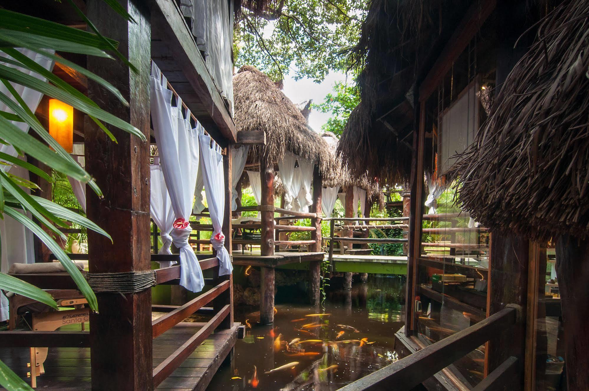 Blue Parrot On 5th Avenue 3* Playa del Carmen