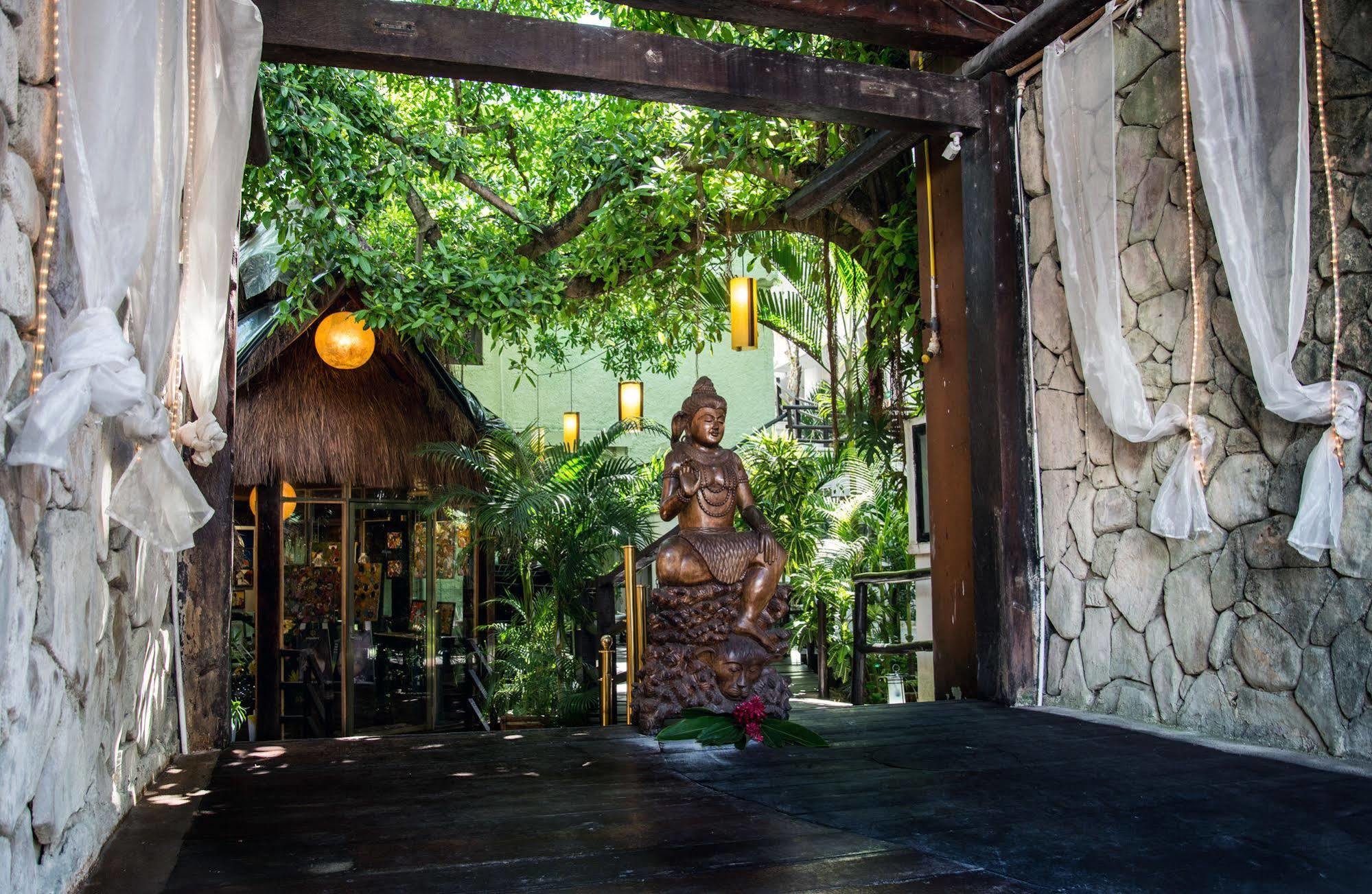 Blue Parrot On 5th Avenue Playa del Carmen