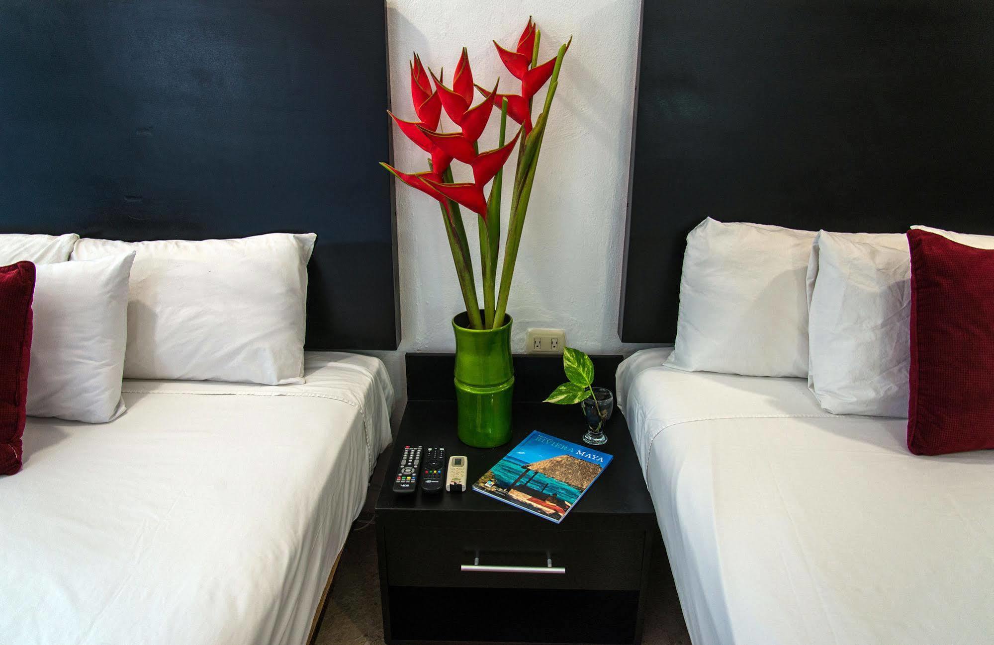 Blue Parrot On 5th Avenue 3*