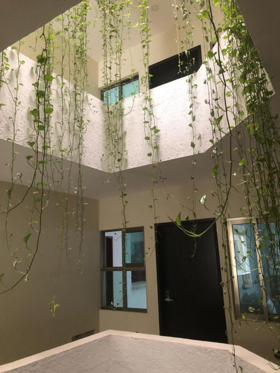 Vale Apartament