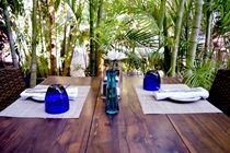 Hotel Tortuga