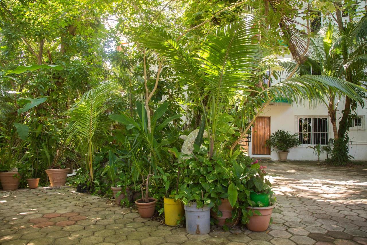 The Jungle Beach