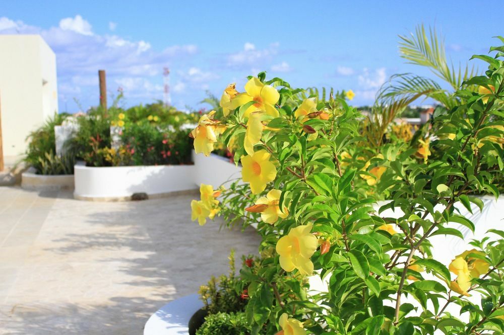 Angelo's 3* Playa del Carmen