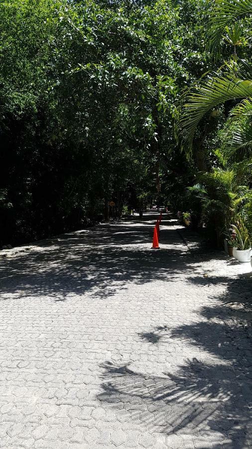 Apartment Amate 3 *