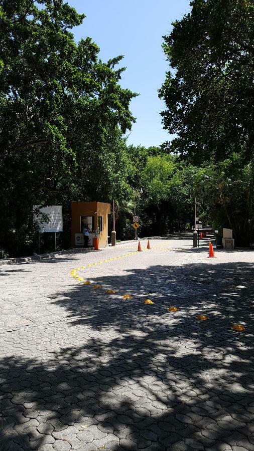 Amate 3 Apartment Playa del Carmen