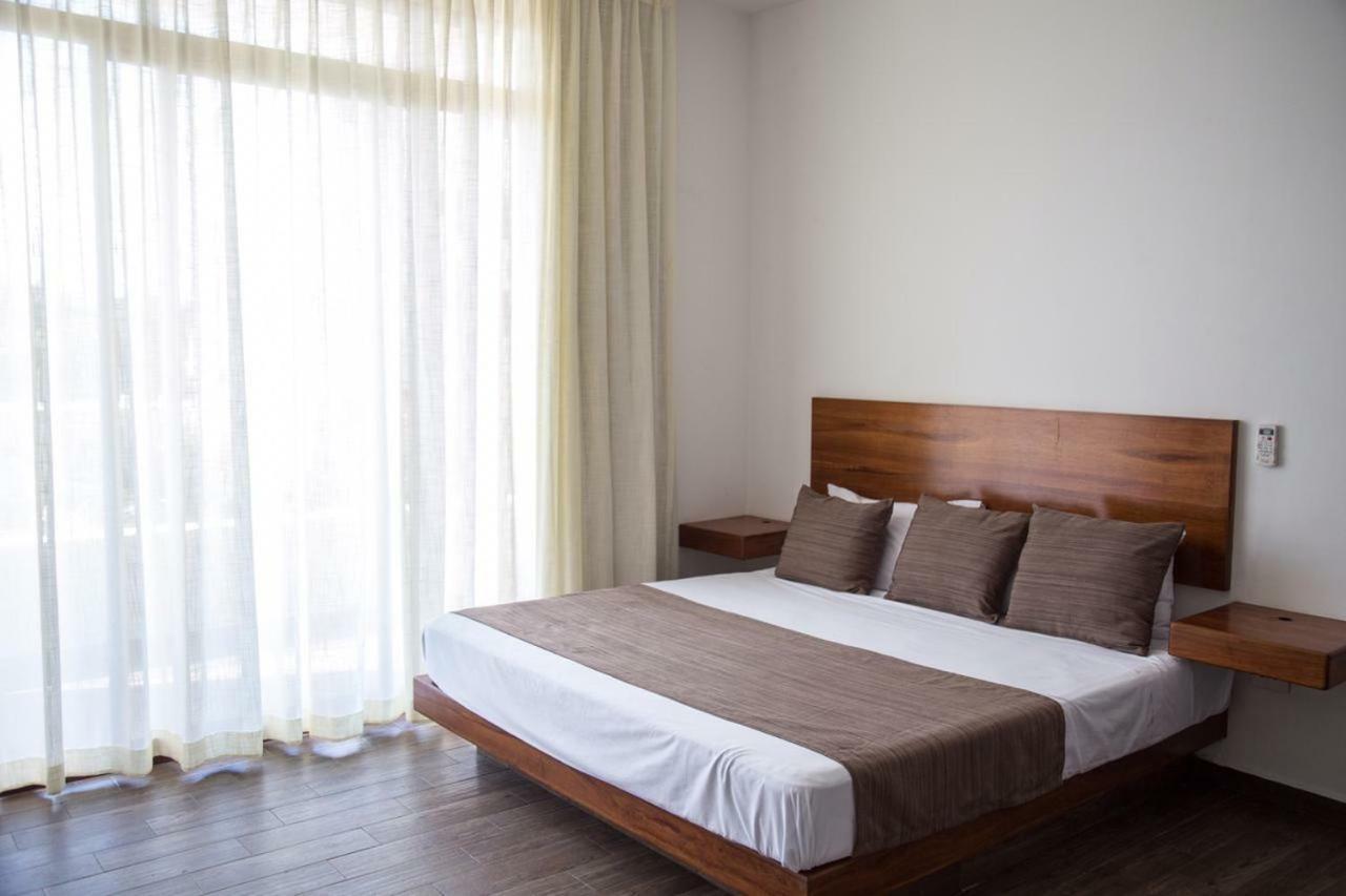 Apartment Casa Impetus