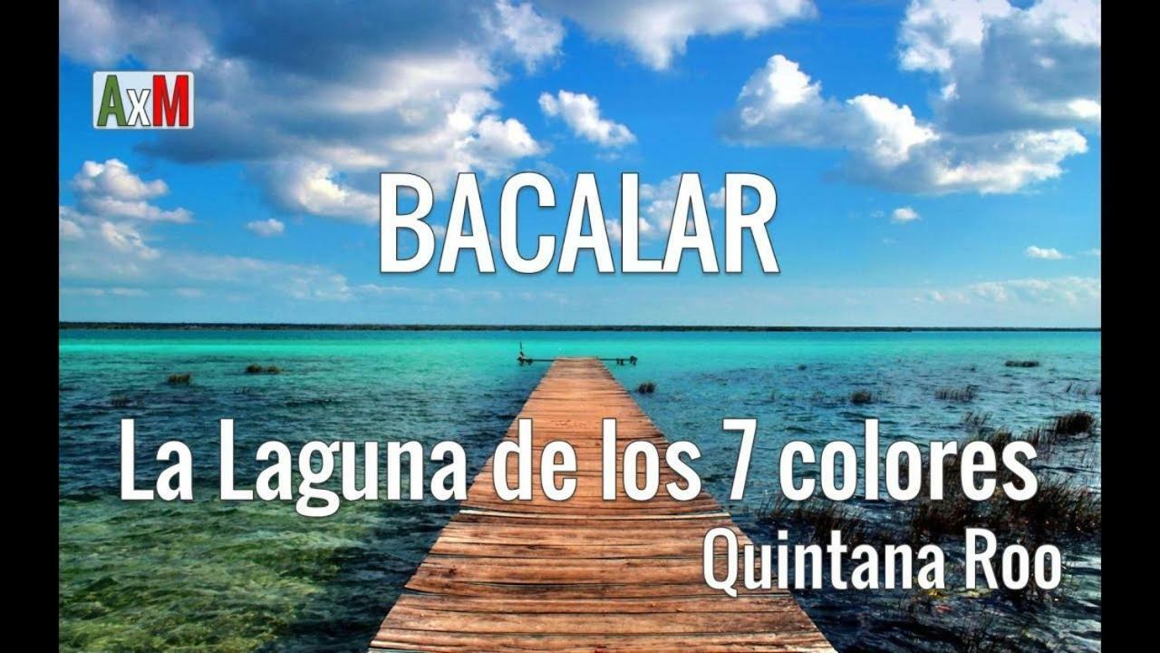 Apartment Apartamento Olivosii, Vigilancia 24hrs Playa del Carmen