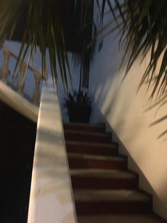 Olmeca Playa del Carmen