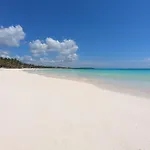 Amaranta