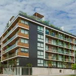 The Shore 107 3Br Apartment In The Heart Of Playa Del Carmen