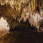 Xcaret Jungle Monkey Haven Stay
