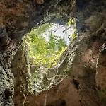 Xcaret Jungle Monkey Haven Stay
