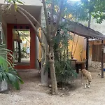 Quinta Salamandra