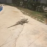 Casa Mi Tesoro
