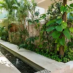 La Papaya Plus 303 - Lpp303